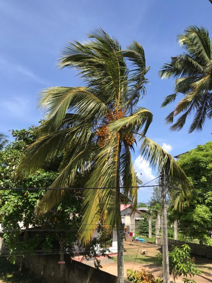 Wh Beach Resort Weligama Exterior photo